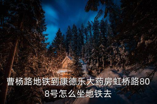 上海市哪里有康得樂大藥房，上海浦東有沒有康德樂大藥房求地址