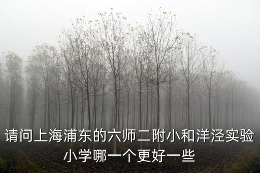 上海市浦東新羊肉湯教學(xué)，上海那里有好喝的羊肉湯館