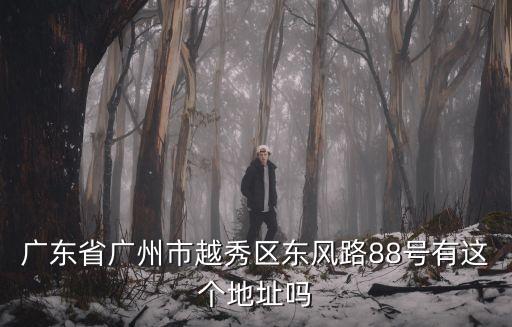 廣東省廣州市越秀區(qū)東風(fēng)路88號有這個地址嗎
