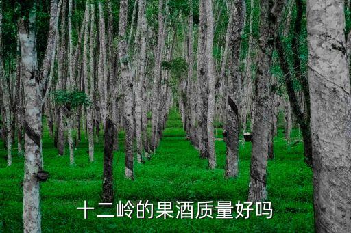 廣州十二嶺酒業，十二嶺果酒品質如何