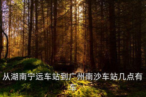 從湖南寧遠車站到廣州南沙車站幾點有車