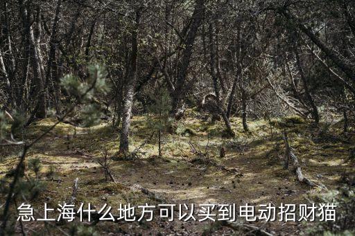 急上海什么地方可以買到電動招財貓