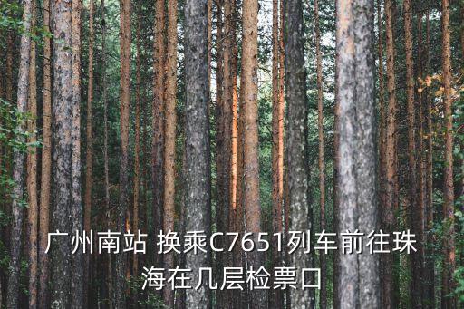廣州南站 換乘C7651列車前往珠海在幾層檢票口