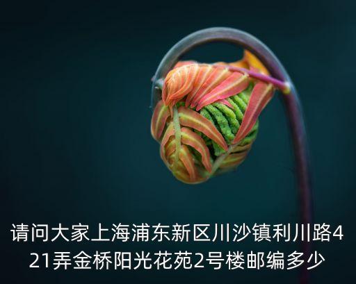 上海市 金橋陽光花苑，人民廣場到金橋陽光花苑打優步多少錢