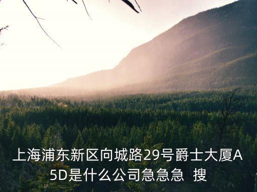 上海市浦東新區29號樓，浦東新區 陸家嘴環路1000號恒生銀行大廈29樓是什么公司
