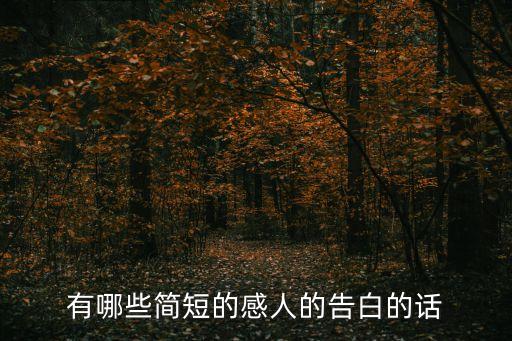 有哪些簡短的感人的告白的話