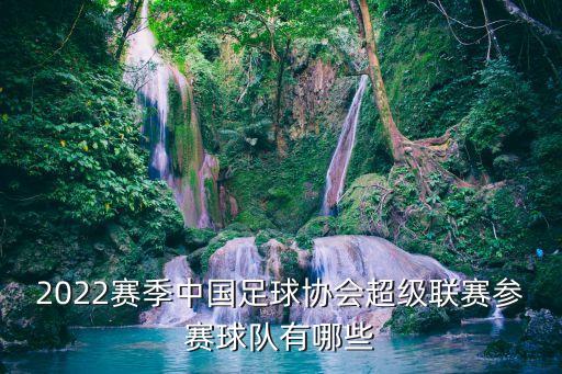 2022賽季中國足球協(xié)會超級聯(lián)賽參賽球隊(duì)有哪些