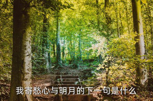 我寄愁心與明月的下一句是什么
