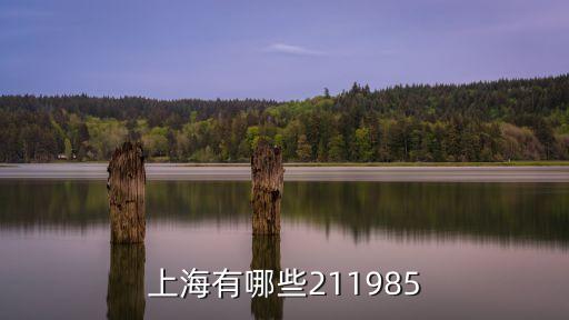 上海有哪些211985