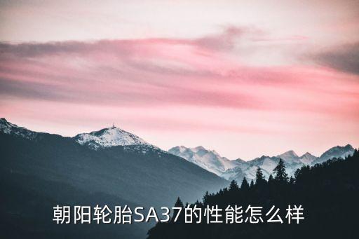 朝陽輪胎SA37的性能怎么樣