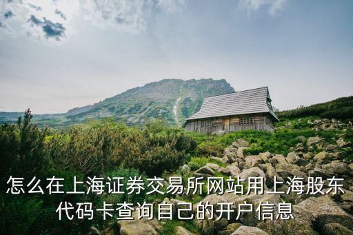 上海市證券交易所官網，上海證券交易所網站
