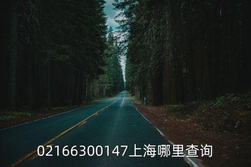 02166300147上海哪里查詢