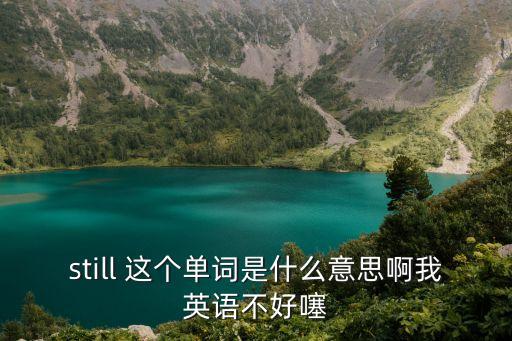 still 這個單詞是什么意思啊我英語不好噻