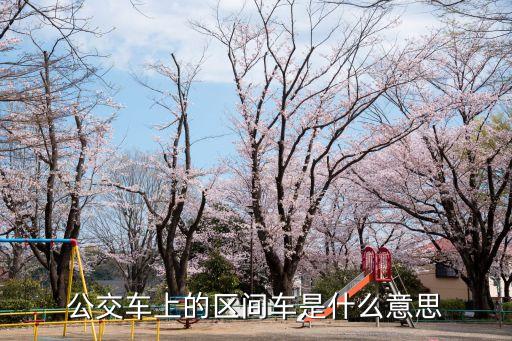 公交車上的區間車是什么意思