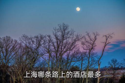 上海哪條路上的酒店最多