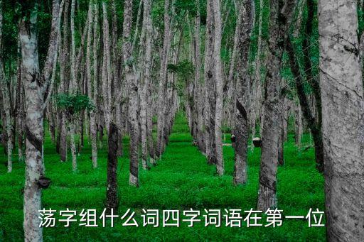 蕩字組什么詞四字詞語在第一位