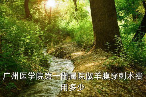 廣州羊膜穿刺術費用，廣州醫學院第一附屬院做羊膜穿刺術費用多少