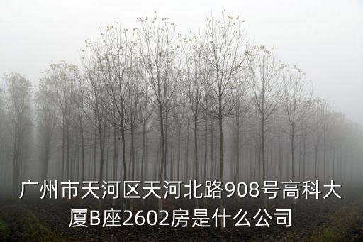 廣州市天河區天河北路908號高科大廈B座2602房是什么公司