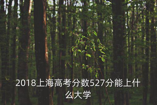 上海市2018高考一本，2018上海高考 597高嗎