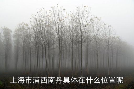 上海市靜安畔丹樣子，上海靜安區(qū)有哪些好玩的棋牌室