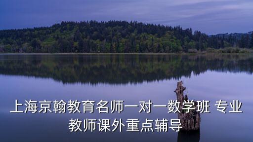 上海市師資培訓(xùn)楊蘭，上海京翰教育名師一對一數(shù)學(xué)班 專業(yè)教師課外重點(diǎn)輔導(dǎo)
