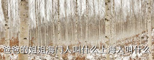 爸爸的姐姐海門人叫什么上海人叫什么