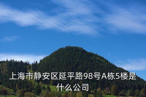 上海市靜安區延平路98號A棟5樓是什么公司