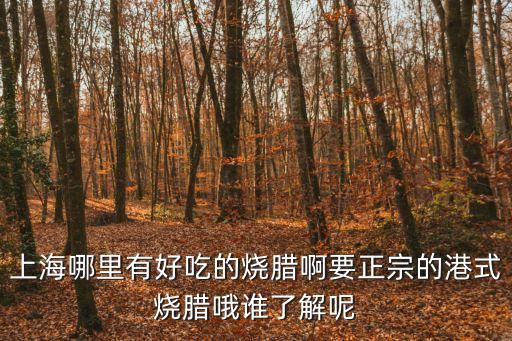 上海哪里有好吃的燒臘啊要正宗的港式燒臘哦誰了解呢