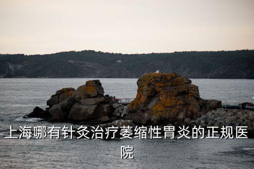 上海市針灸經絡研究所吳煥淦，上海哪有針灸治療萎縮性胃炎的正規醫院