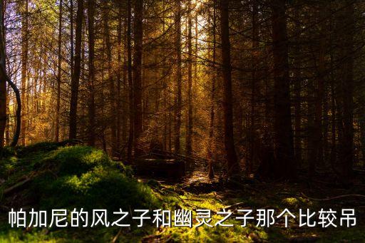 幽靈之子，幽靈之子有什么好的