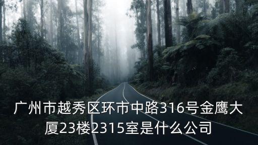 廣州市越秀區環市中路316號金鷹大廈23樓2315室是什么公司