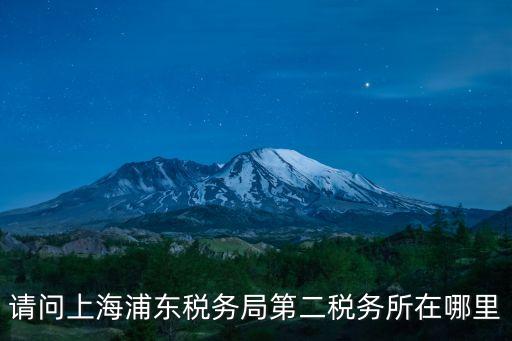 請問上海浦東稅務局第二稅務所在哪里