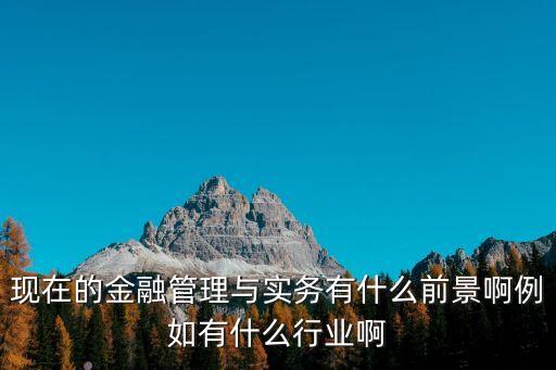 現在的金融管理與實務有什么前景啊例如有什么行業啊