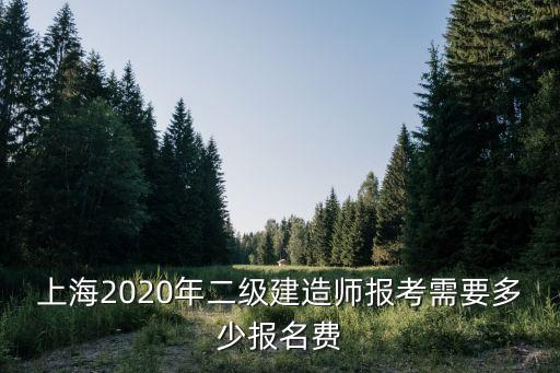 上海市二建代報(bào)名啥價(jià)位，我二建報(bào)名條件不夠想找代報(bào)名一般費(fèi)用是多少啊