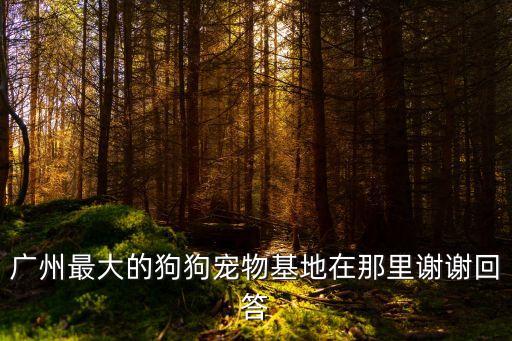 廣州最大的狗狗寵物基地在那里謝謝回答