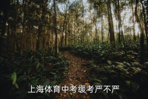 上海體育中考緩考嚴(yán)不嚴(yán)