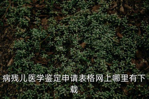 上海市病殘兒醫(yī)學鑒定申請表，如何寫病殘兒醫(yī)學鑒定申請書