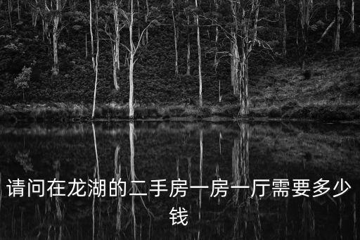 請(qǐng)問在龍湖的二手房一房一廳需要多少錢