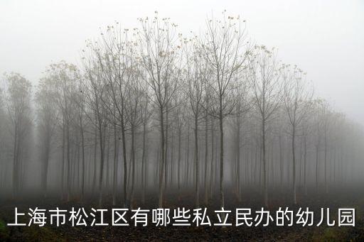 上海市松江白云幼兒園，上海市松江區有哪些私立民辦的幼兒園