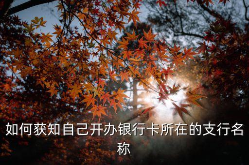 怎么查銀行卡支行，怎么查銀行卡是什么支行