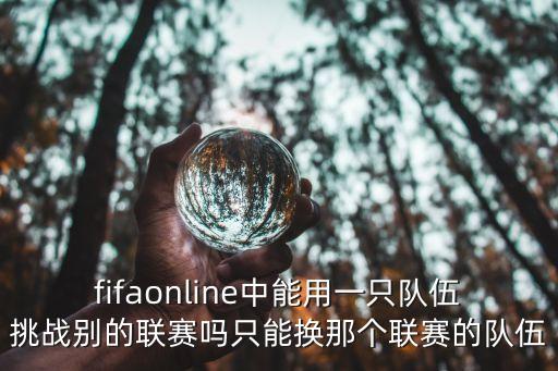 上海市十項系列賽足球2019，FIFA2比賽