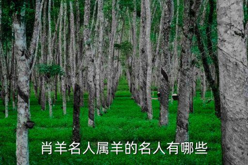 肖羊名人屬羊的名人有哪些