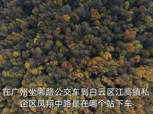 廣州黃村到江高公交，在廣州坐哪路公交車到白云區江高鎮私企區鳳翔中路是在哪個站下車