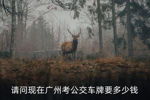 廣州公交司機牌考試，請問現在廣州考公交車牌要多少錢