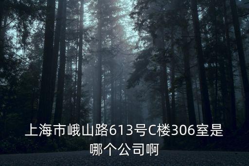 上海市峨山路613號C樓306室是哪個公司啊