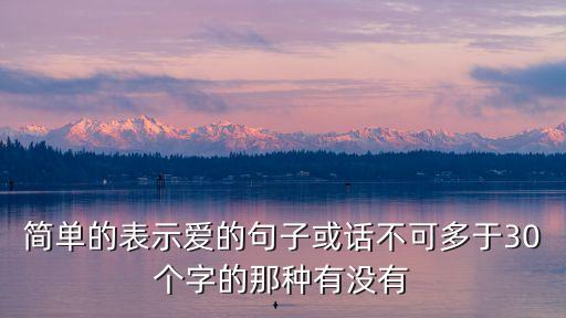 簡單的表示愛的句子或話不可多于30個字的那種有沒有