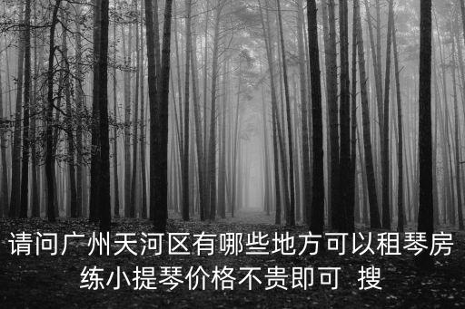 請問廣州天河區有哪些地方可以租琴房練小提琴價格不貴即可  搜