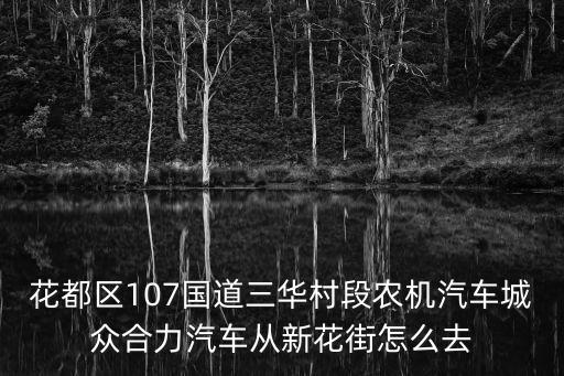 廣州眾合力地址，花都區107國道三華村段農機汽車城眾合力汽車從新花街怎么去
