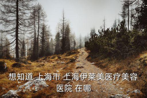上海市伊爾美整形醫院，想知道 上海市 上海伊萊美醫療美容醫院 在哪