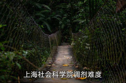 2019上海市社科院調(diào)劑，今年考復旦國關(guān)過不了A 區(qū)線能否調(diào)劑到上海社科院